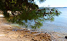 Plaža Rt Škaraba, Rovinj